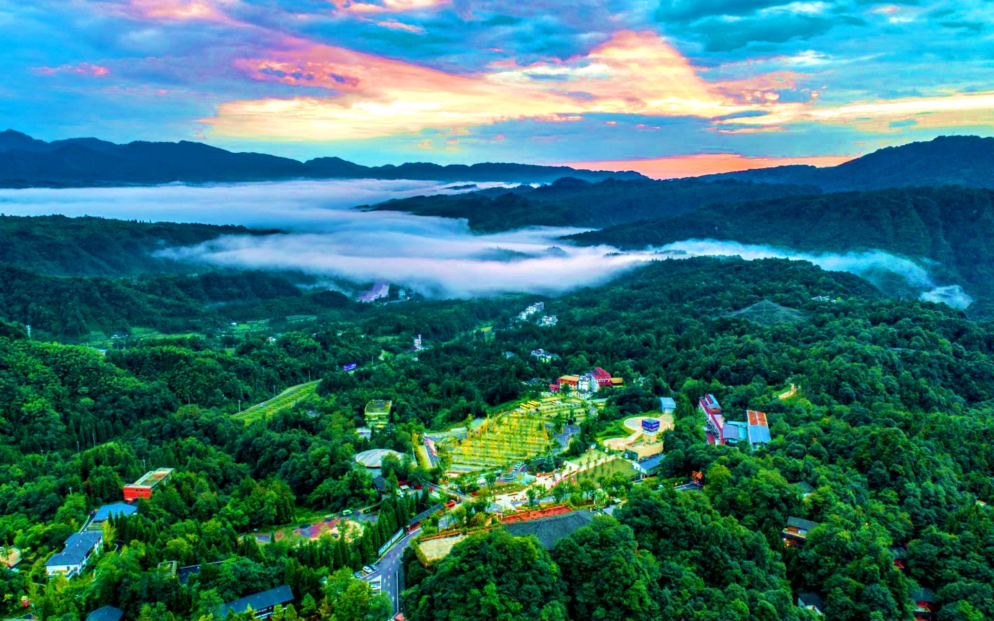 老子有钱lzyq88(中国)有限公司