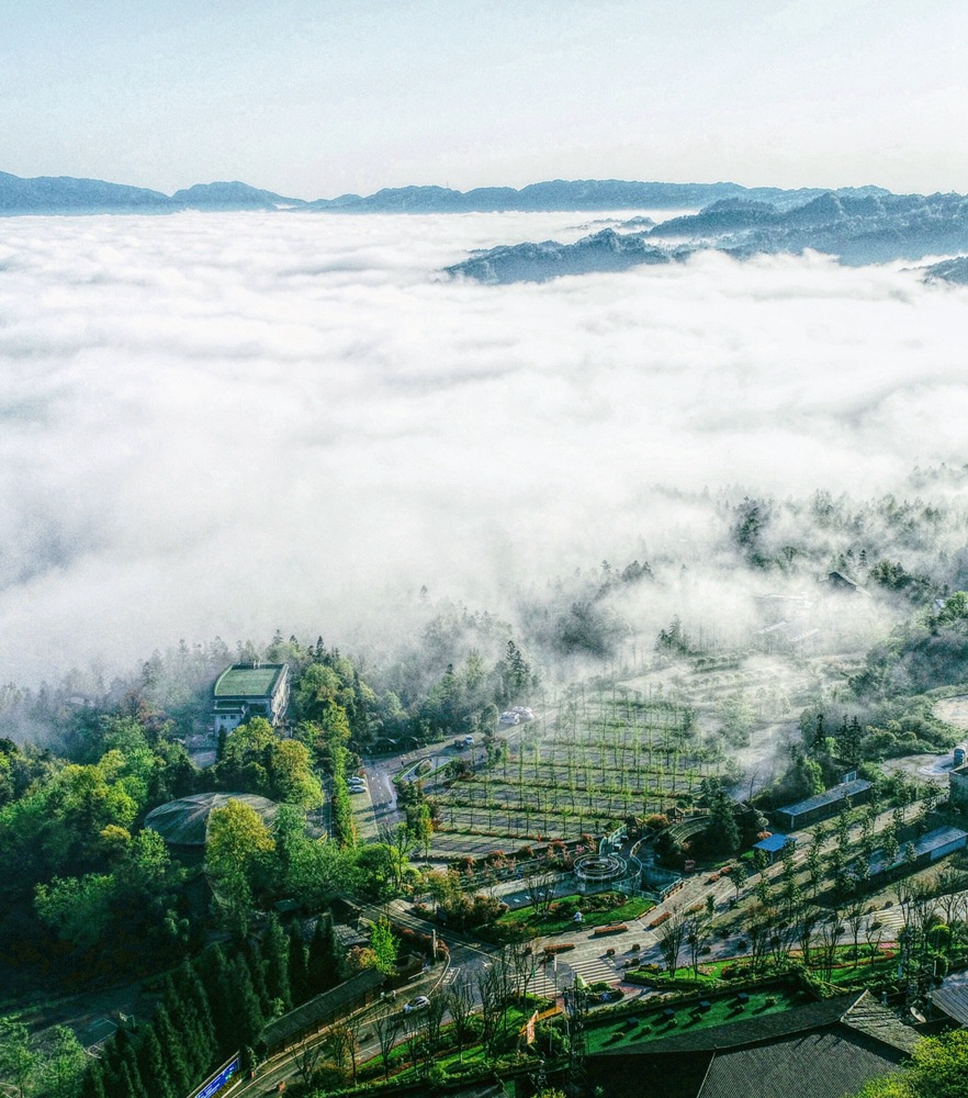 老子有钱lzyq88(中国)有限公司