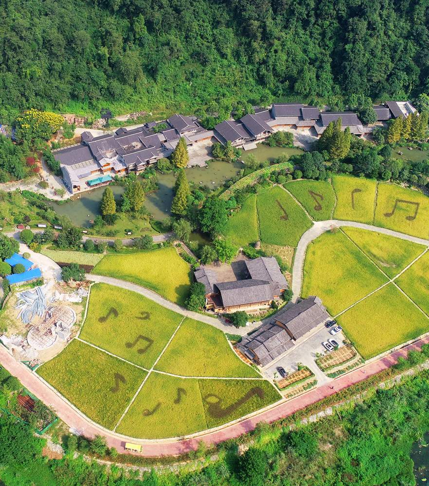 老子有钱lzyq88(中国)有限公司